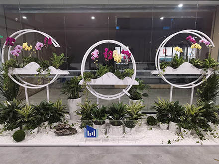 辦公室綠植租擺